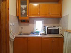 a kitchen with a sink and a microwave at Antonioy Apartment Metewra in Kalabaka