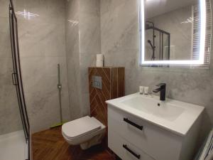 a bathroom with a sink and a toilet and a mirror at Apartament Na Wzgórzach in Rymanów