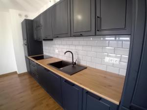 uma cozinha com armários pretos e um lavatório em Apartament Na Wzgórzach em Rymanów