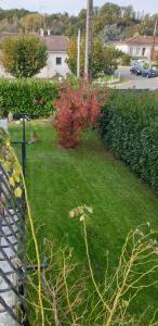 een tuin met groen gras en rode struiken bij Maison chaleureuse in Casseneuil