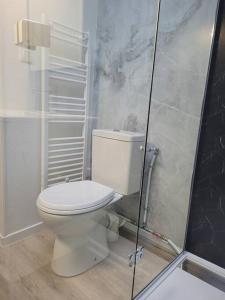 ein Badezimmer mit einem weißen WC und einer Dusche in der Unterkunft Le Bohème, appartement de charme hyper centre in Granville