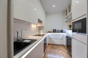 Kuchyň nebo kuchyňský kout v ubytování Milosrdnych Apartments