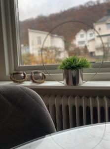 una planta en un jarrón sentada en un alféizar de la ventana en Iris en Huskvarna