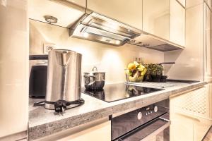 Kuchyň nebo kuchyňský kout v ubytování Milosrdnych Apartments