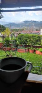 a person holding a cup of coffee in front of a window at Veronika house Under Meteora in Sarakína