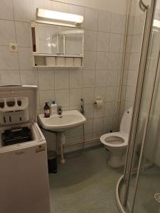 uma pequena casa de banho com lavatório e WC em Brooms - Newly renovated central studio apartment em Pietarsaari