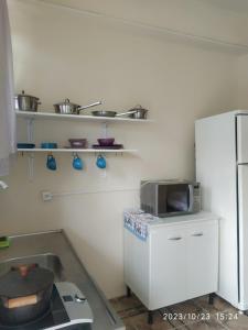 a kitchen with a stove and a microwave at Kitnet Rústica Blumenau in Blumenau