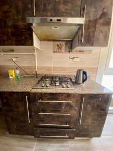 Η κουζίνα ή μικρή κουζίνα στο Elite stay at Madinaty +11 φωτογραφίες