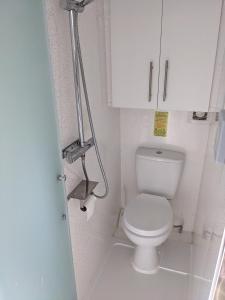 a small bathroom with a toilet and a white cabinet at Military Shepherd Hut in Haxey