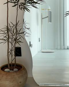 Un jarrón con una planta en una habitación en 신규오픈, 프라이빗 독채 풀빌라 펜션, 스테이티모가, en Muju