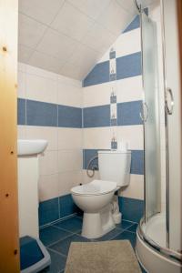 La salle de bains bleue et blanche est pourvue de toilettes et d'une douche. dans l'établissement Pokoje Gościnne Bożena Dunajczan, à Brzegi