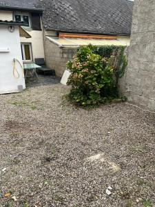 un patio con un arbusto al lado de un edificio en DUPLEX REFAIT NEUF à MONCHAUX SORENG, en Monchaux-Soreng
