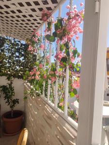 Casa Alba 2 في بويرتو ديل روزاريو: شرفة عليها أشجار وورود وردية