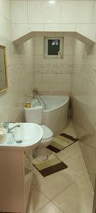 別列戈沃的住宿－Sima，浴室配有盥洗盆、卫生间和浴缸。