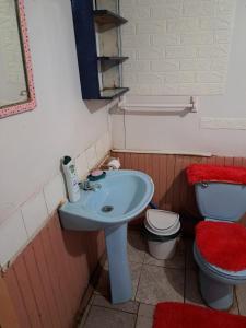 een badkamer met een blauwe wastafel en een toilet bij Cabaña huenuco rural castro in Castro