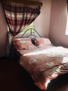a bedroom with a bed with a canopy and a window at Arusha homestay in Arusha