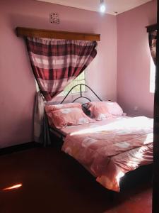 a bedroom with a bed with a canopy and a window at Arusha homestay in Arusha