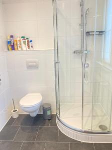 a bathroom with a shower and a toilet at Wohnung in Haus in Neunkirchen