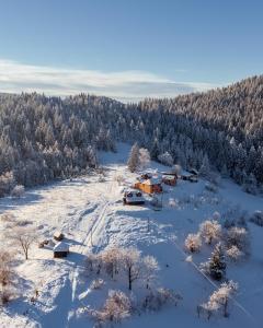 Seosko turističko domaćinstvo Bojovići (Rajkova koliba) في نوفا فاروس: اطلالة جوية على بيت في الثلج