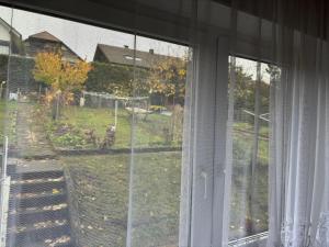 una ventana con vistas a un patio en Ferienwohnung Grimm, en Pforzheim