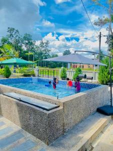 a family playing in a swimming pool in a stone wall at THE PINE HOUSE in Kuala Berang
