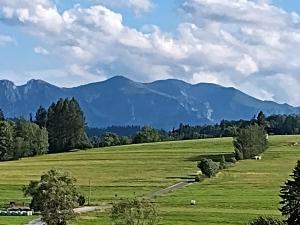 un campo verde con montañas al fondo en U Chowańców, en Bańska Niżna