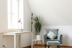 une chaise et un bureau avec une plante dans la chambre dans l'établissement FAWAY Altstadt mittendrIN - einzigartiges Flair - Parken, à Ingolstadt