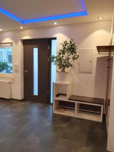 Ein Zimmer mit einer Topfpflanze und einer blauen Decke in der Unterkunft Schlafzimmer Nr1 Heidingsfeld Würzburg in Würzburg