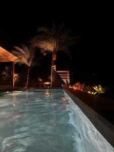 Saint Barthelemy的住宿－Villa Nagabaaja，一座拥有两棵棕榈树的夜间游泳池