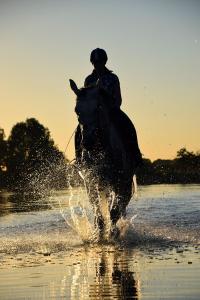 una persona che cavalca un cavallo attraverso l'acqua di Daydream Lodge a Tampaksiring