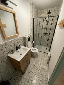 a bathroom with a shower and a sink and a toilet at Kisielkowo in Wilkasy