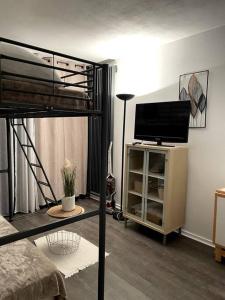 a bedroom with a bunk bed with a flat screen tv at Villard-de-lans studio au pied des pistes pour 4 pers in Villard-de-Lans