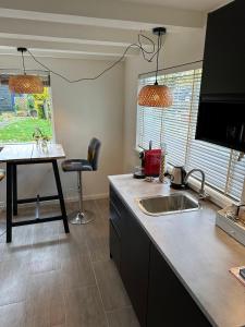 a kitchen with a sink and a counter top at Bloemenboerderij Aperloo in Aperloo