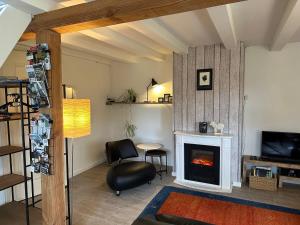a living room with a fireplace and a tv at Bloemenboerderij Aperloo in Aperloo