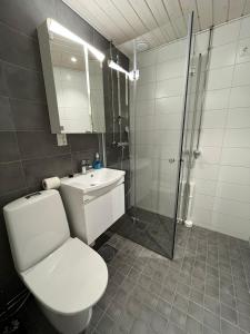 Koupelna v ubytování Ylimmän kerroksen tilava kolmio jokinäkymällä