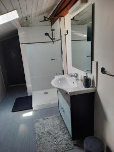 y baño con lavabo y espejo. en Ma Toulousaine Chambre d'Hôtes, en Toulouse