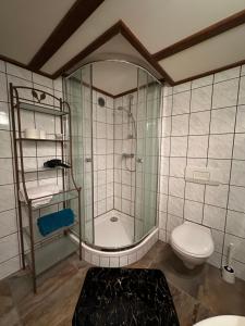 a bathroom with a shower and a toilet at Bnb des Epouses in Fribourg