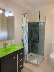 a bathroom with a shower with a green sink and a glass shower at La Casa del Centre in Tárrega