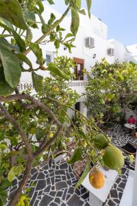 an orange tree on a tiled floor next to a building at Juliano luxury apartments, port of Naxos in Naxos Chora