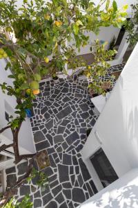 a stone walkway with an orange tree on it at Juliano luxury apartments, port of Naxos in Naxos Chora