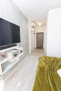 a living room with a flat screen tv on a wall at Suit apartment free parking in Roşu