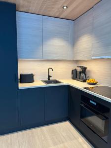uma cozinha com armários azuis e um lavatório em Levi Aurora Sky em Levi