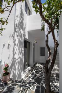 una stanza con un'ombra di albero sul muro di Juliano luxury apartments, port of Naxos a Naxos Chora