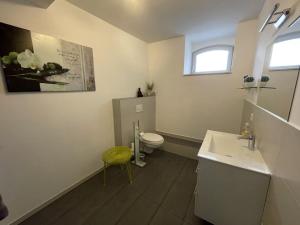 een badkamer met een toilet, een wastafel en een spiegel bij Ferienwohnung "Alte Mühle" in Jena