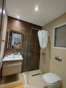 een badkamer met een douche, een toilet en een wastafel bij Superbe appartement la Terrasse Hammamet Nord Mrezga in Hammamet