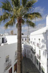 Foto dalla galleria di Apartamentos Casamonteymar Bas-Ser a Vejer de la Frontera