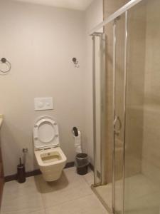 La salle de bains est pourvue d'une douche et de toilettes. dans l'établissement Doğan Palace Hotel, à Istanbul