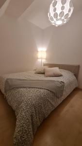 Postel nebo postele na pokoji v ubytování Logement entier : appartement, Houssen