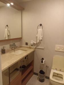 a bathroom with a sink and a toilet and a mirror at Doğan Palace Hotel in Istanbul