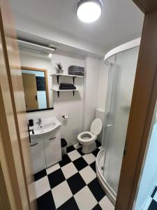 ein Bad mit einem WC, einem Waschbecken und einer Dusche in der Unterkunft Soul Apartments in Izola
